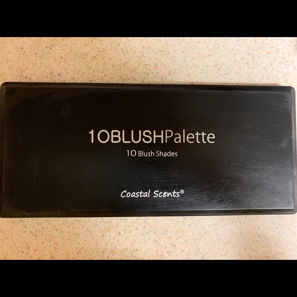 Coastal Scents 10 pan Blush Palette